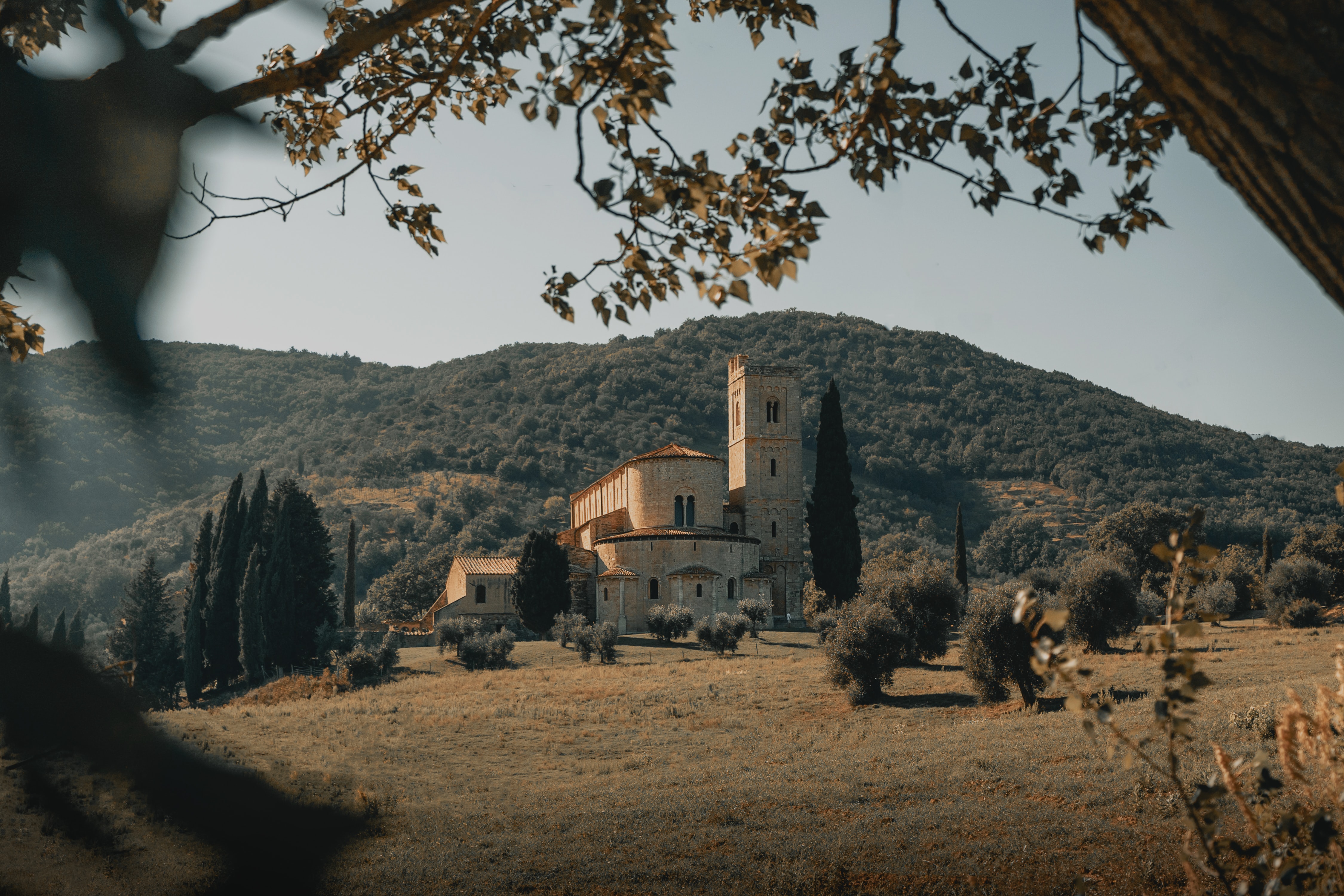 brunello-montalcino-sideways wine tour